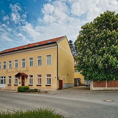 Pension Rohrwald Oberrohrbach Zewnętrze zdjęcie